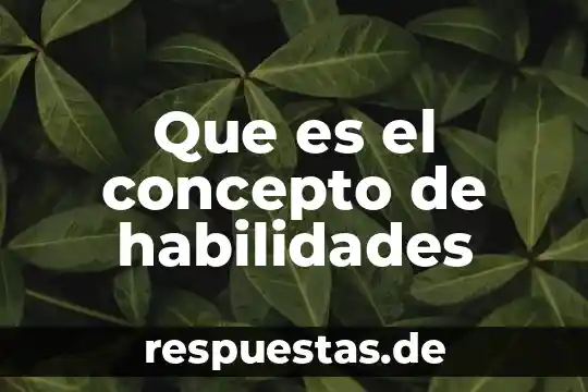 Que es la evaluacion educativa concepto 3 Que es el concepto de habilidades
