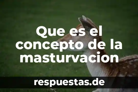 Que es el concepto de habilidades 8 Que es el concepto de la masturvacion