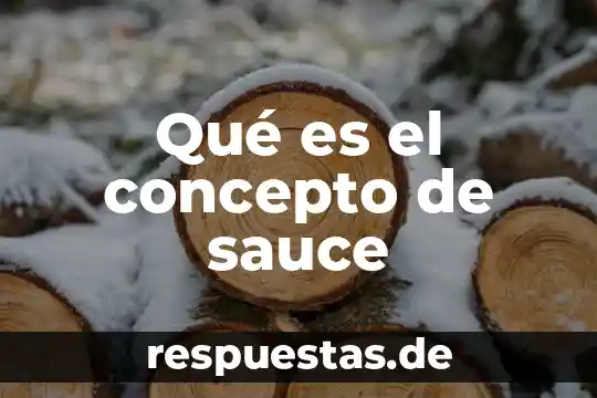 Que es un factor de un numero algebra 4 Qué es el concepto de sauce