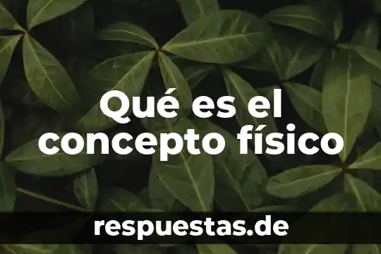 Qué es el concepto físico