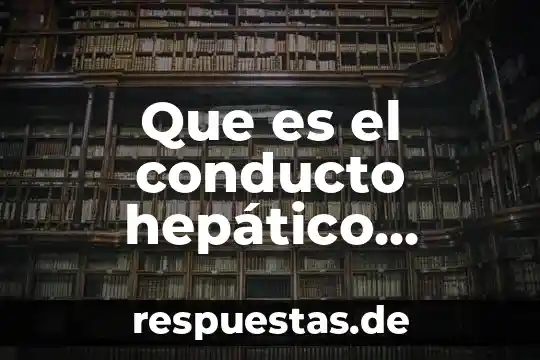 Qué es derecho derogado 4 Que es el conducto hepático derecho
