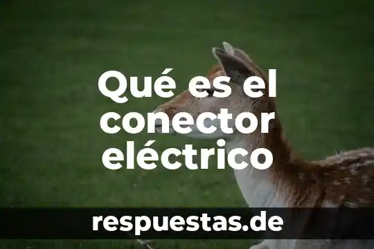 Para que es el conector will en ingles 4 Qué es el conector eléctrico