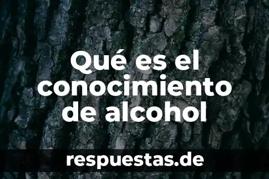 Alcohol de caña que es 4 Qué es el conocimiento de alcohol