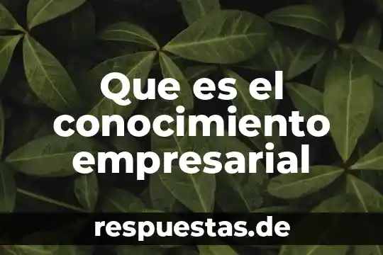 Que es versatil significado 7 Que es el conocimiento empresarial