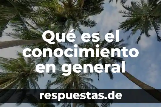 Qué es un manual contenido en forma general 4 Qué es el conocimiento en general