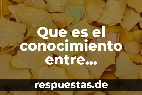 Que es el conocimiento tecnológico de internet 3 Que es el conocimiento entre miembros