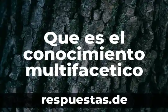 Que es gestion social del conocimiento 8 Que es el conocimiento multifacetico