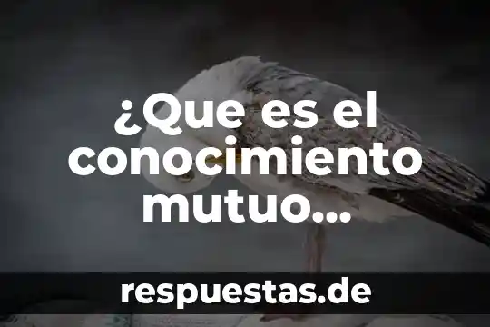 Que es interdependencia de grupo 3 ¿Que es el conocimiento mutuo comunicacion interdependencia?