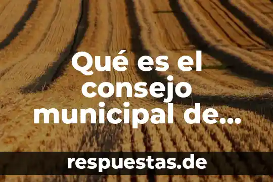 Qué es la salud cultura arte y deporte 4 Qué es el consejo municipal de cultura física y deporte