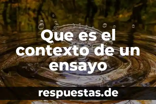 Que es el contexto de un ensayo