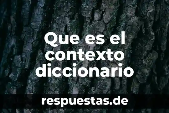 Que es el contexto diccionario