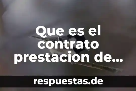 Que es un contrato civil por prestación de servicios 3 Que es el contrato prestacion de servicios