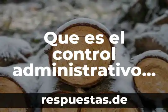 Qué es control ejecutiva 4 Que es el control administrativo definición