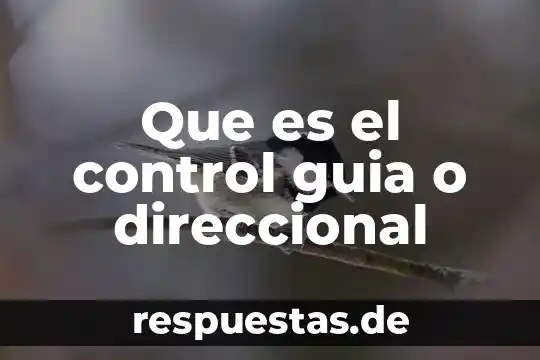 Que es un guia de prestaciones concepto 6 Que es el control guia o direccional