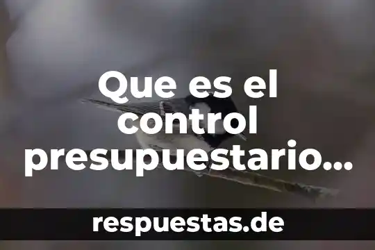 Que es un guia de prestaciones concepto 4 Que es el control presupuestario en la guia pmbok