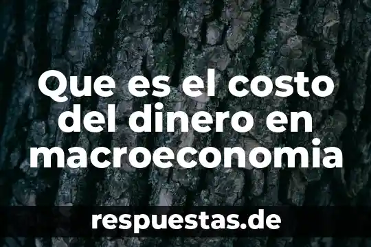 Qué es el dinero en matemáticas financieras 5 Que es el costo del dinero en macroeconomia