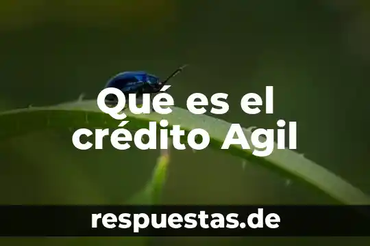 Qué es la norma de crédito 4 Qué es el crédito Agil