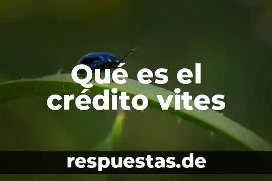 Qué es un crédito prendario significado 7 Qué es el crédito vites