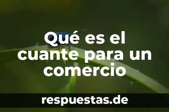 Que es el comercio juridico 5 Qué es el cuante para un comercio