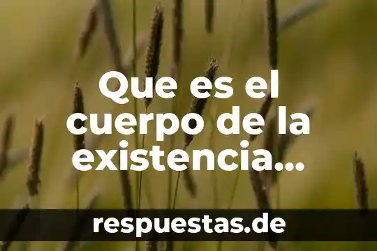 Que es el cuerpo de la existencia mayor