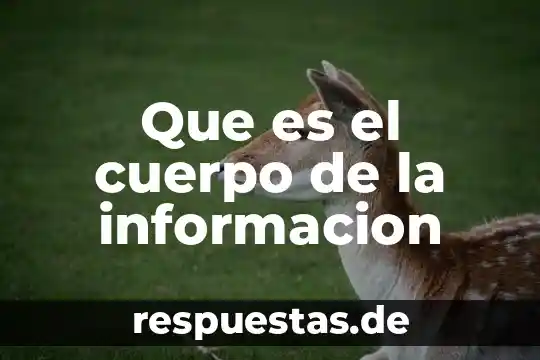 Que es el cuerpo de la informacion