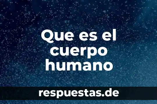 Que es el cuerpo humano