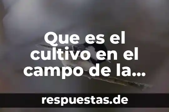 Qué es cultivo de tejidos concepto 3 Que es el cultivo en el campo de la agricultura