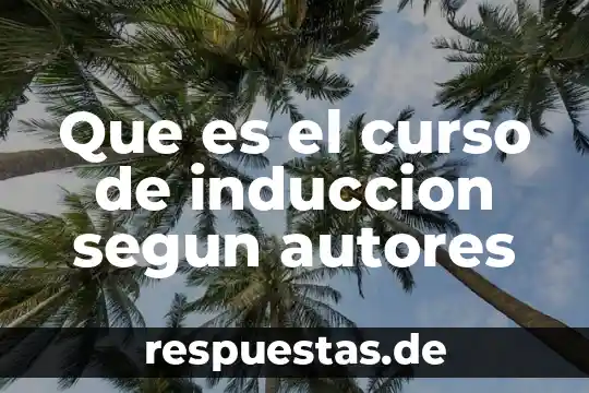 Qué es la música y su importancia en preescolar con autores 5 Que es el curso de induccion segun autores