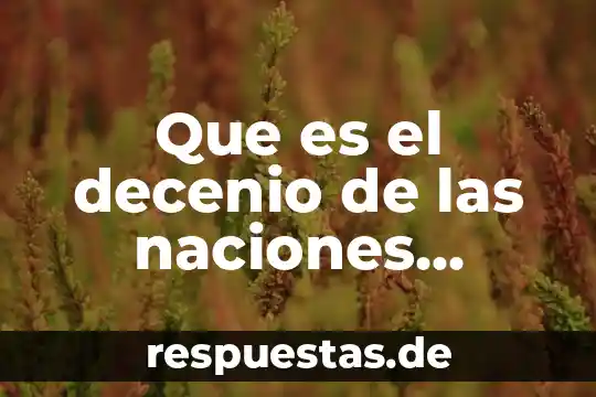 Que es el decenio de las naciones unidas