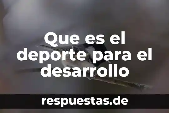 Qué es la salud cultura arte y deporte 5 Que es el deporte para el desarrollo