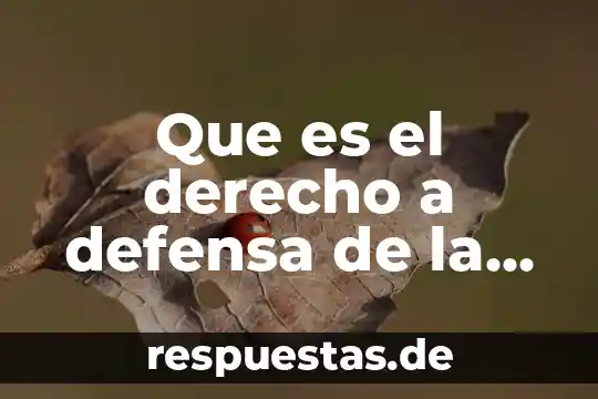 Que es el derecho a la libertad de pensamiento 8 Que es el derecho a defensa de la integridad