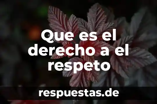 Que es el respeto en la relacion afectiva 7 Que es el derecho a el respeto