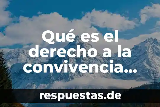 Qué es la filosofía del derecho concepto 6 Qué es el derecho a la convivencia política
