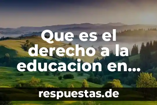 Que es la traduccion literal y sus caracteristicas 8 Que es el derecho a la educacion en ingles traduccion