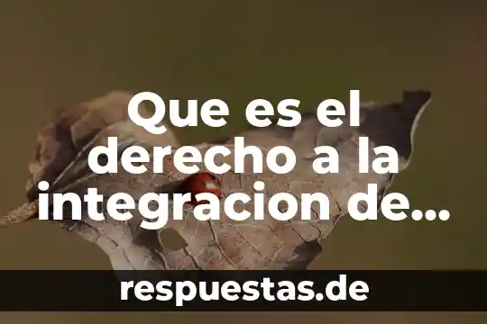 Ww4 que es 6 Que es el derecho a la integracion de los niños