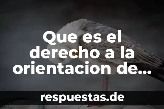 Que es el argumento en derecho 7 Que es el derecho a la orientacion de los padres