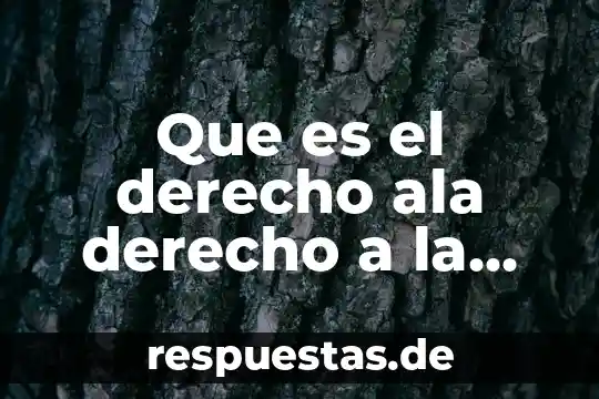 Que es para montesquieu la libertad politica 3 Que es el derecho ala derecho a la libertad