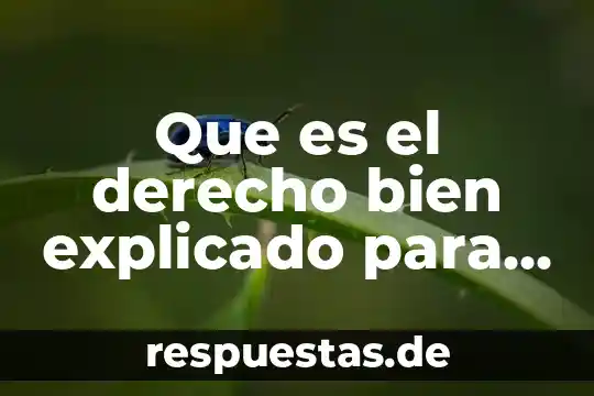 Qué es el reciclaje explicado para niños 3 Que es el derecho bien explicado para niños
