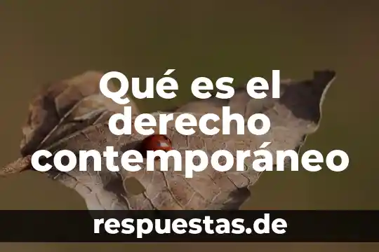¿Qué es la socioafectivo concepto? 4 Qué es el derecho contemporáneo