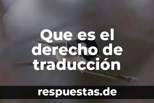 Que es el derecho a la educacion en ingles traduccion 6 Que es el derecho de traducción