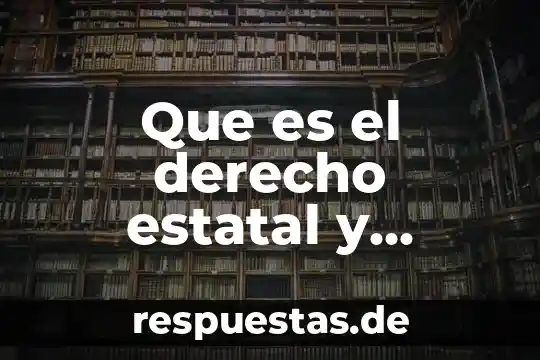 Que es exepcion de conetividad en derecho 4 Que es el derecho estatal y municipal