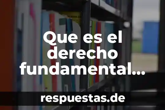 Qué es la teoría jurídica fundamental 5 Que es el derecho fundamental de las personas