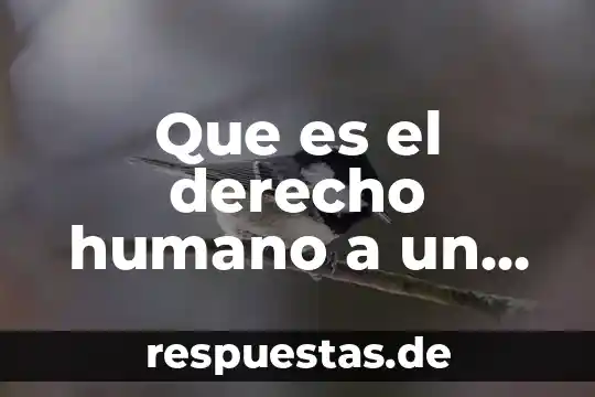 Que es el derecho humano a un medio ambiente
