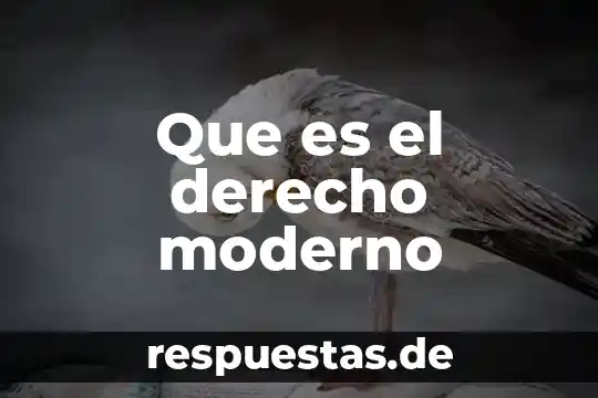 Que es el arte del hombre moderno 4 Que es el derecho moderno