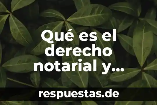 Qué es el derecho notarial y registral en México