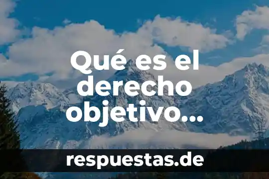 Que es ser hipomaniaca 3 Qué es el derecho objetivo interno y externo