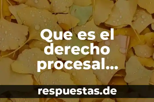 Que es la investigacion procesal 3 Que es el derecho procesal publico privado