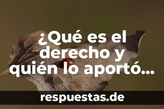 Que es la historia oral por collado herrera 8 ¿Qué es el derecho y quién lo aportó historia?