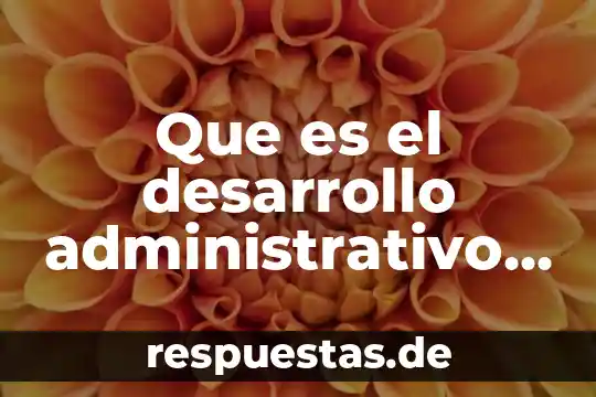 Que es el significado de ebano 5 Que es el desarrollo administrativo contable