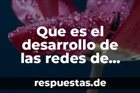 Que es un acervo de datos 7 Que es el desarrollo de las redes de datos